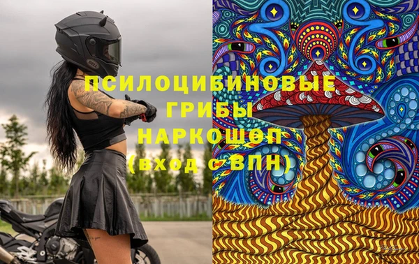 героин Алексин