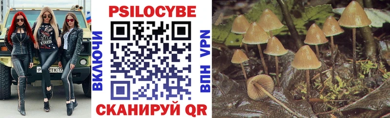 omg   Щигры  Галлюциногенные грибы Psilocybine cubensis 